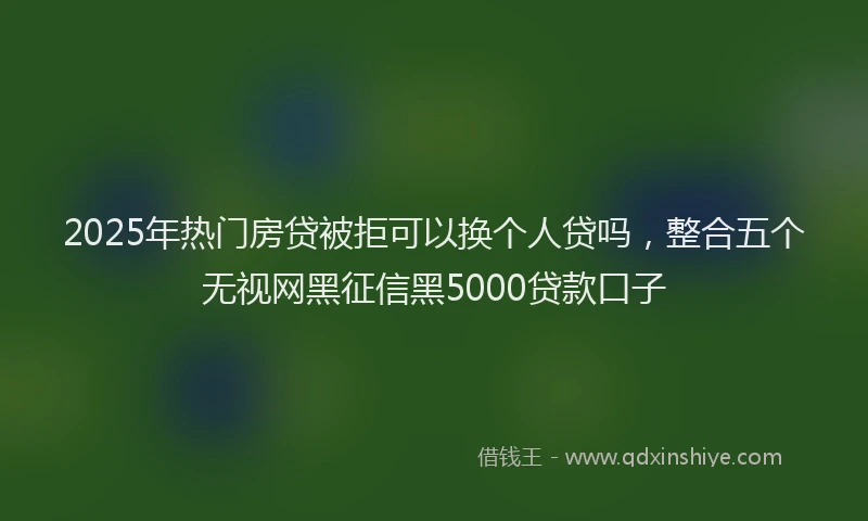 2025年热门房贷被拒可以换个人贷吗，整合五个无视网黑征信黑5000贷款口子