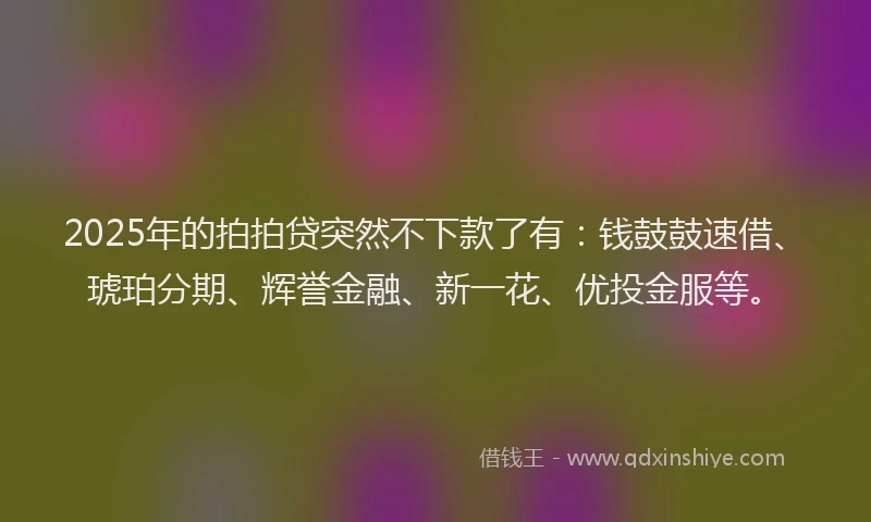 2025年的拍拍贷突然不下款了有：钱鼓鼓速借、琥珀分期、辉誉金融、新一花、优投金服等。