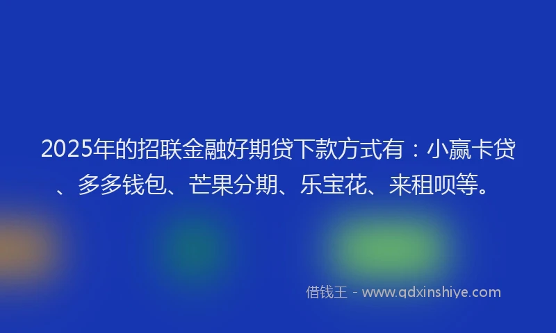 2025年的招联金融好期贷下款方式有：小赢卡贷、多多钱包、芒果分期、乐宝花、来租呗等。
