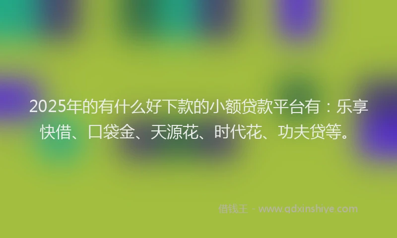 2025年的有什么好下款的小额贷款平台有：乐享快借、口袋金、天源花、时代花、功夫贷等。