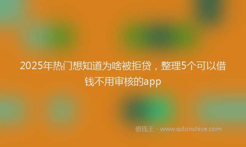 2025年热门想知道为啥被拒贷，整理5个可以借钱不用审核的app