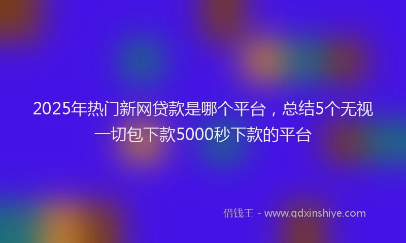 2025年热门新网贷款是哪个平台，总结5个无视一切包下款5000秒下款的平台