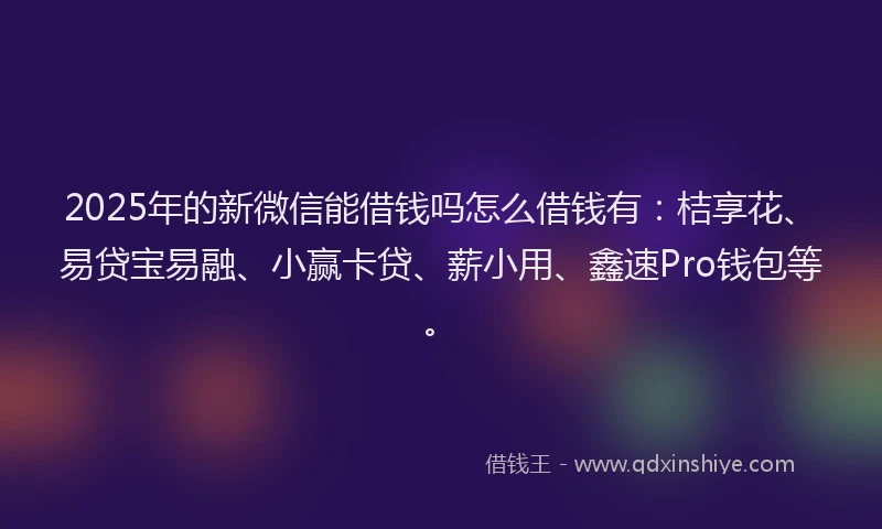 2025年的新微信能借钱吗怎么借钱有：桔享花、易贷宝易融、小赢卡贷、薪小用、鑫速Pro钱包等。