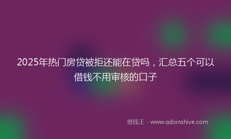 2025年热门房贷被拒还能在贷吗，汇总五个可以借钱不用审核的口子