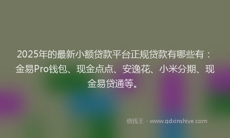 2025年的最新小额贷款平台正规贷款有哪些有：金易Pro钱包、现金点点、安逸花、小米分期、现金易贷通等。