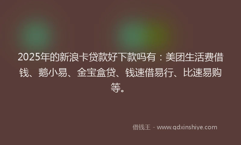 2025年的新浪卡贷款好下款吗有：美团生活费借钱、鹅小易、金宝盒贷、钱速借易行、比速易购等。