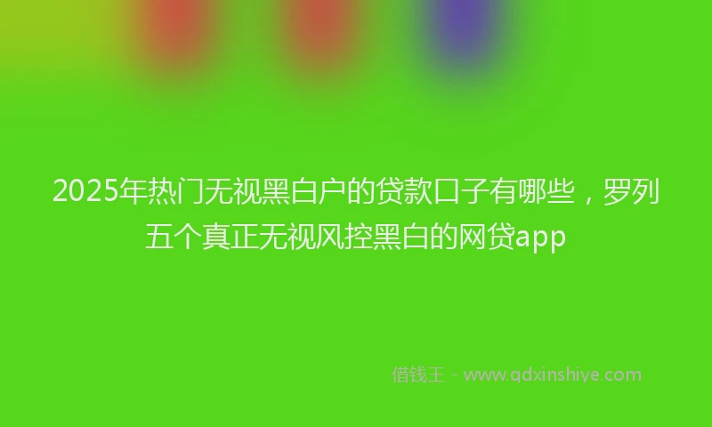 2025年热门无视黑白户的贷款口子有哪些，罗列五个真正无视风控黑白的网贷app