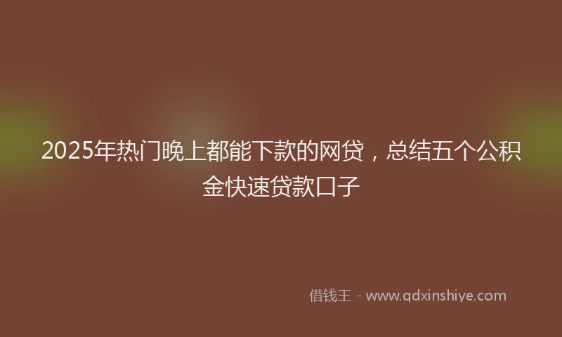 2025年热门晚上都能下款的网贷，总结五个公积金快速贷款口子