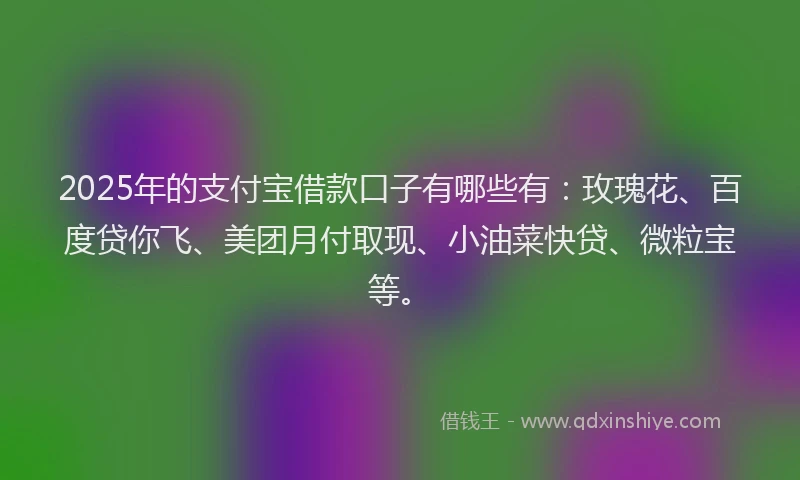 2025年的支付宝借款口子有哪些有：玫瑰花、百度贷你飞、美团月付取现、小油菜快贷、微粒宝等。