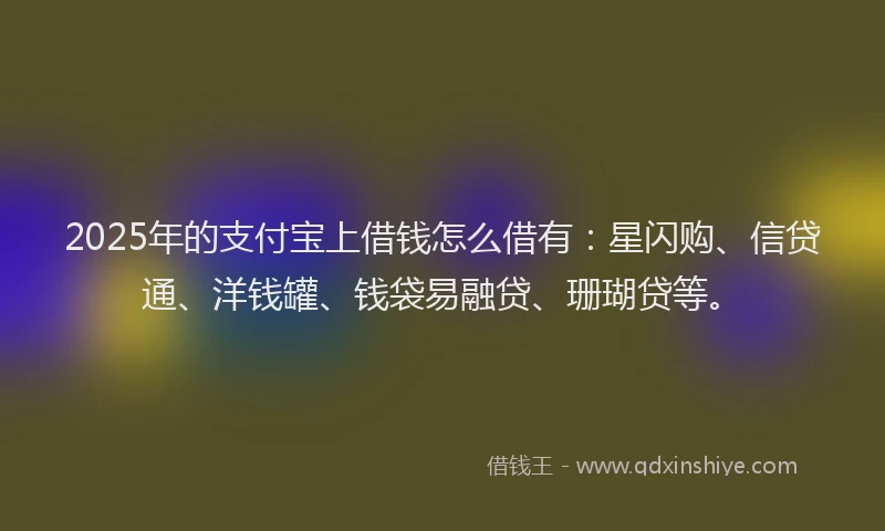 2025年的支付宝上借钱怎么借有：星闪购、信贷通、洋钱罐、钱袋易融贷、珊瑚贷等。