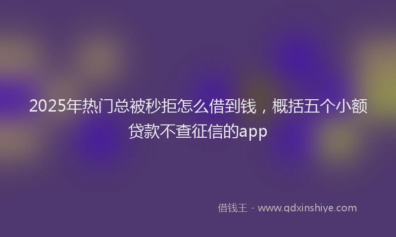 2025年热门总被秒拒怎么借到钱，概括五个小额贷款不查征信的app