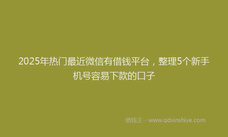 2025年热门最近微信有借钱平台，整理5个新手机号容易下款的口子