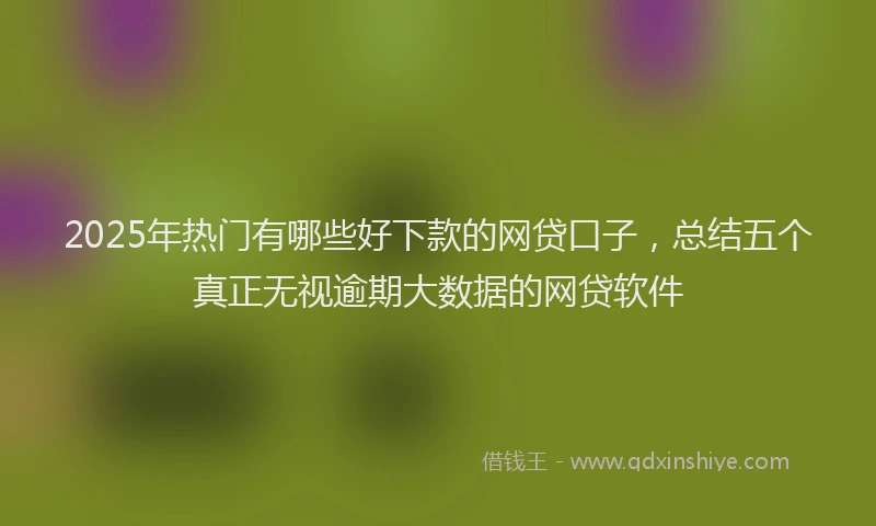 2025年热门有哪些好下款的网贷口子，总结五个真正无视逾期大数据的网贷软件