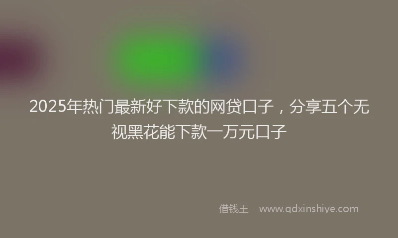 2025年热门最新好下款的网贷口子，分享五个无视黑花能下款一万元口子