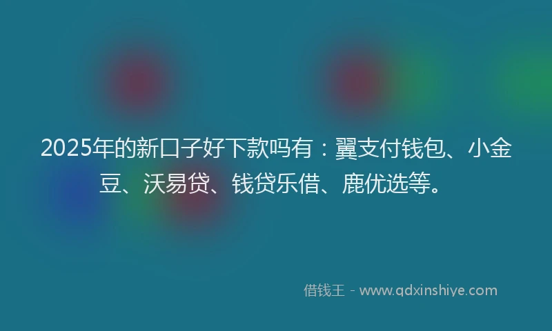 2025年的新口子好下款吗有：翼支付钱包、小金豆、沃易贷、钱贷乐借、鹿优选等。