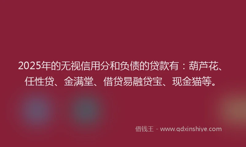 2025年的无视信用分和负债的贷款有：葫芦花、任性贷、金满堂、借贷易融贷宝、现金猫等。