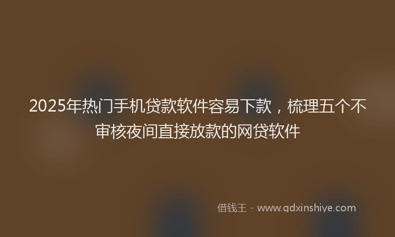 2025年热门手机贷款软件容易下款，梳理五个不审核夜间直接放款的网贷软件
