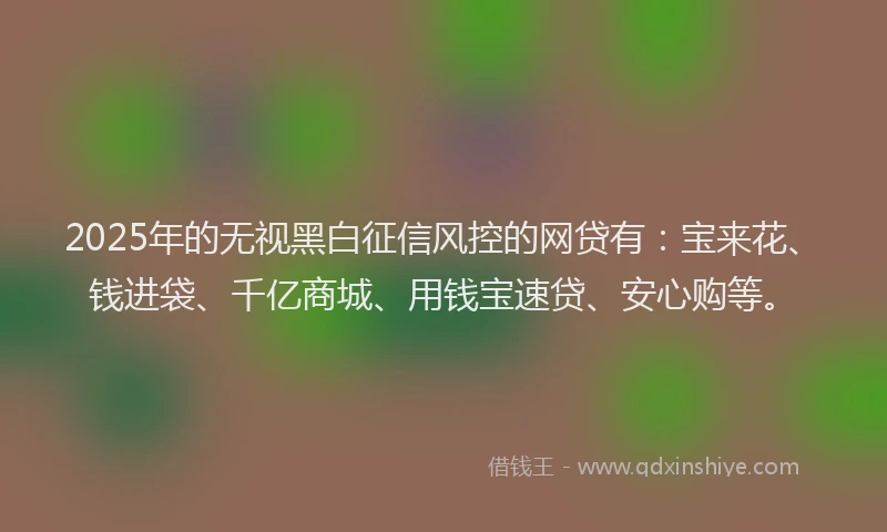 2025年的无视黑白征信风控的网贷有：宝来花、钱进袋、千亿商城、用钱宝速贷、安心购等。