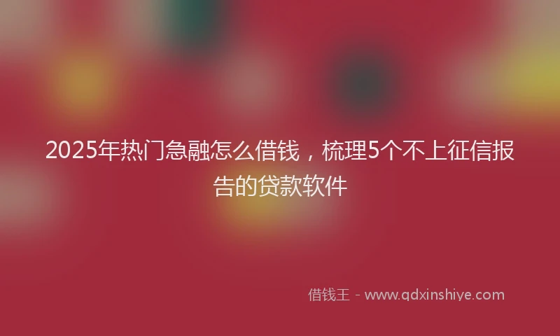 2025年热门急融怎么借钱，梳理5个不上征信报告的贷款软件