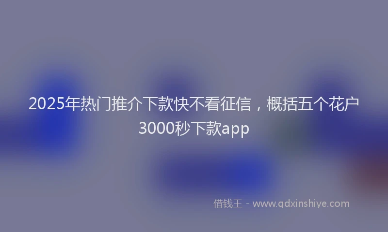 2025年热门推介下款快不看征信，概括五个花户3000秒下款app
