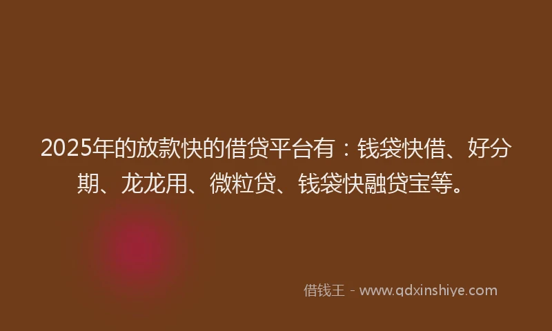 2025年的放款快的借贷平台有：钱袋快借、好分期、龙龙用、微粒贷、钱袋快融贷宝等。