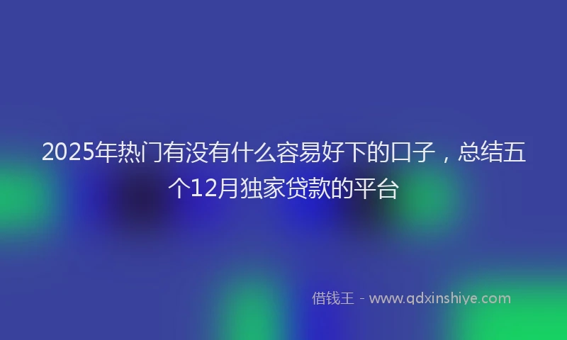 2025年热门有没有什么容易好下的口子，总结五个12月独家贷款的平台