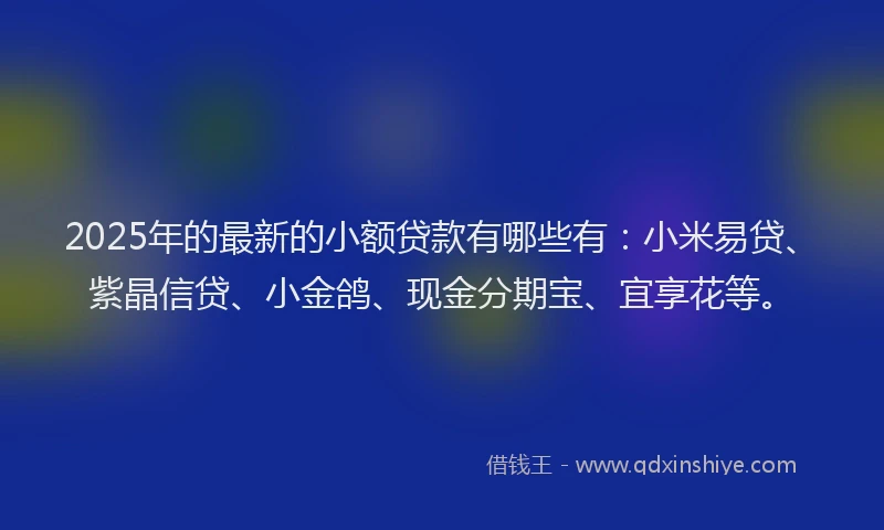 2025年的最新的小额贷款有哪些有：小米易贷、紫晶信贷、小金鸽、现金分期宝、宜享花等。