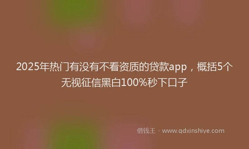 2025年热门有没有不看资质的贷款app，概括5个无视征信黑白100%秒下口子