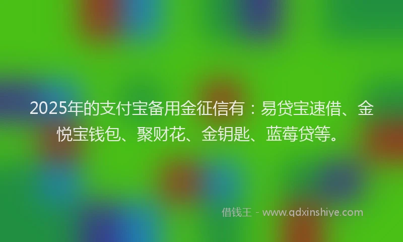 2025年的支付宝备用金征信有：易贷宝速借、金悦宝钱包、聚财花、金钥匙、蓝莓贷等。