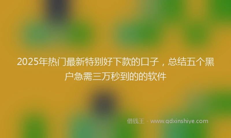 2025年热门最新特别好下款的口子，总结五个黑户急需三万秒到的的软件