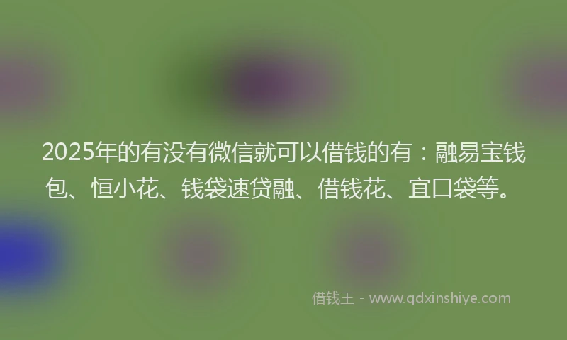 2025年的有没有微信就可以借钱的有：融易宝钱包、恒小花、钱袋速贷融、借钱花、宜口袋等。