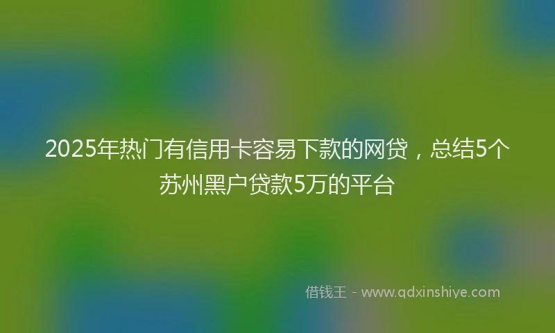 2025年热门有信用卡容易下款的网贷，总结5个苏州黑户贷款5万的平台