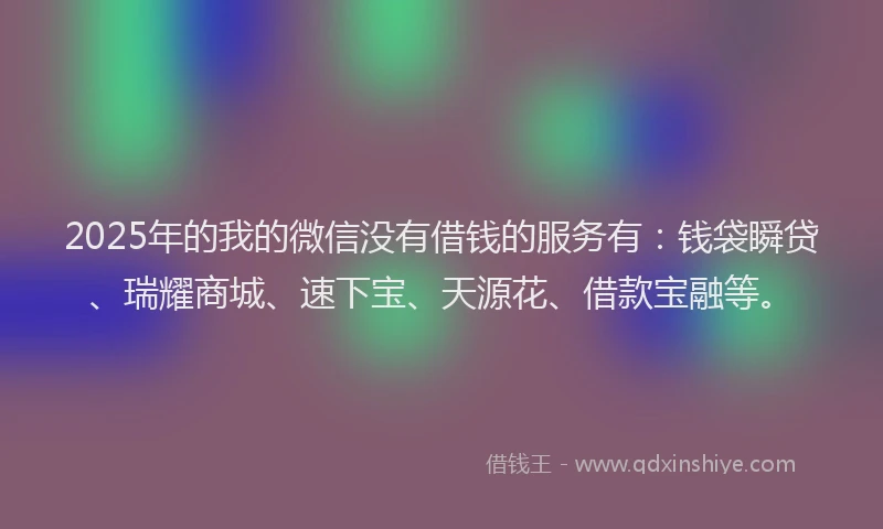 2025年的我的微信没有借钱的服务有：钱袋瞬贷、瑞耀商城、速下宝、天源花、借款宝融等。