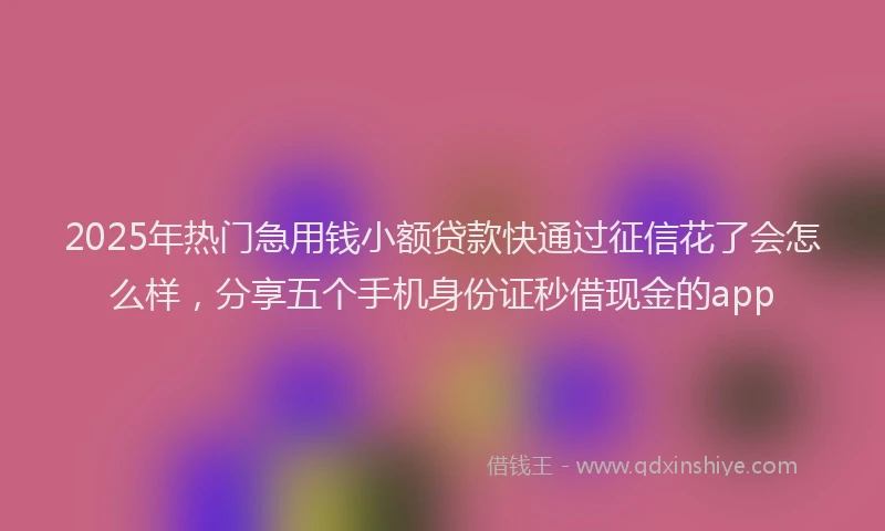 2025年热门急用钱小额贷款快通过征信花了会怎么样，分享五个手机身份证秒借现金的app