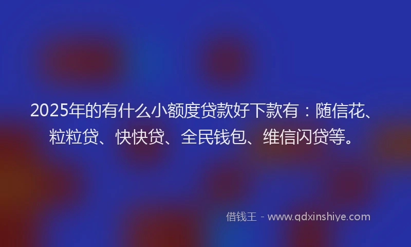 2025年的有什么小额度贷款好下款有：随信花、粒粒贷、快快贷、全民钱包、维信闪贷等。