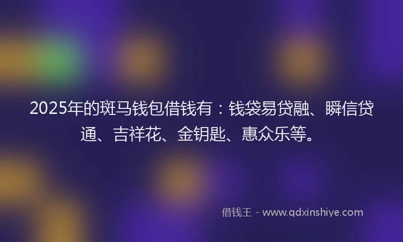 2025年的斑马钱包借钱有：钱袋易贷融、瞬信贷通、吉祥花、金钥匙、惠众乐等。