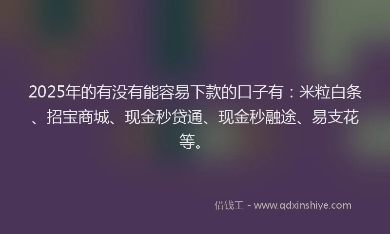 2025年的有没有能容易下款的口子有：米粒白条、招宝商城、现金秒贷通、现金秒融途、易支花等。