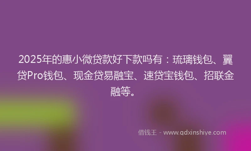 2025年的惠小微贷款好下款吗有：琉璃钱包、翼贷Pro钱包、现金贷易融宝、速贷宝钱包、招联金融等。