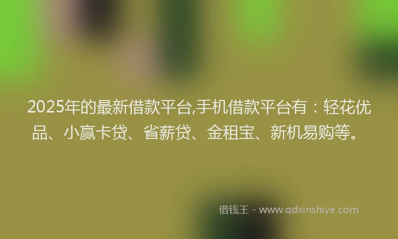 2025年的最新借款平台,手机借款平台有：轻花优品、小赢卡贷、省薪贷、金租宝、新机易购等。