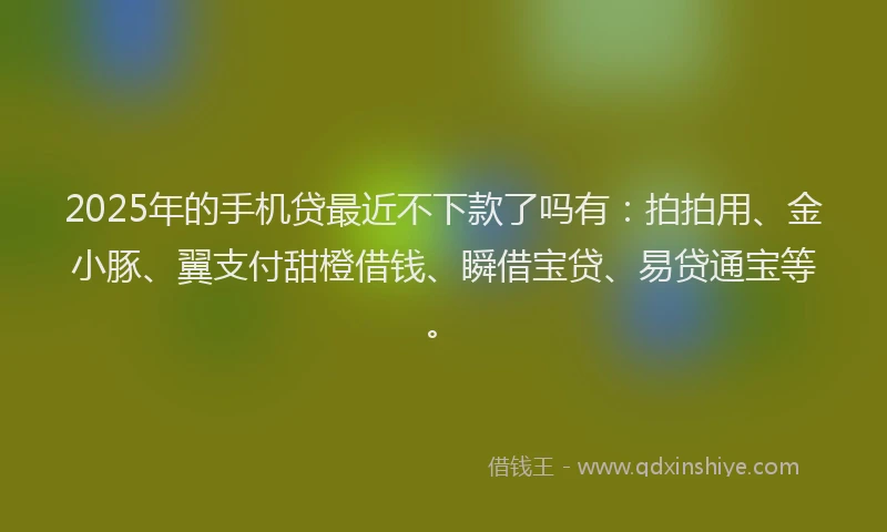 2025年的手机贷最近不下款了吗有：拍拍用、金小豚、翼支付甜橙借钱、瞬借宝贷、易贷通宝等。
