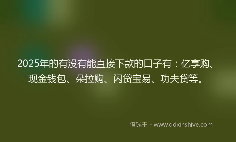 2025年的有没有能直接下款的口子有：亿享购、现金钱包、朵拉购、闪贷宝易、功夫贷等。