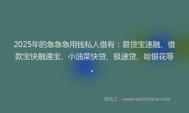 2025年的急急急用钱私人借有：易贷宝速融、借款宝快融通宝、小油菜快贷、极速贷、哈银花等。