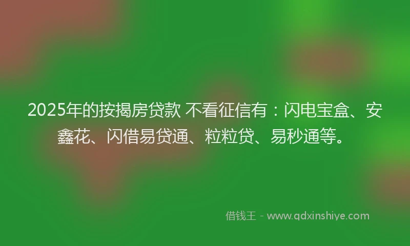 2025年的按揭房贷款 不看征信有：闪电宝盒、安鑫花、闪借易贷通、粒粒贷、易秒通等。