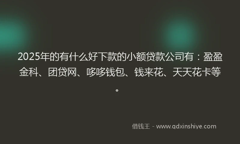 2025年的有什么好下款的小额贷款公司有：盈盈金科、团贷网、哆哆钱包、钱来花、天天花卡等。