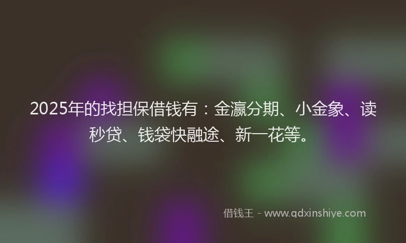 2025年的找担保借钱有：金瀛分期、小金象、读秒贷、钱袋快融途、新一花等。
