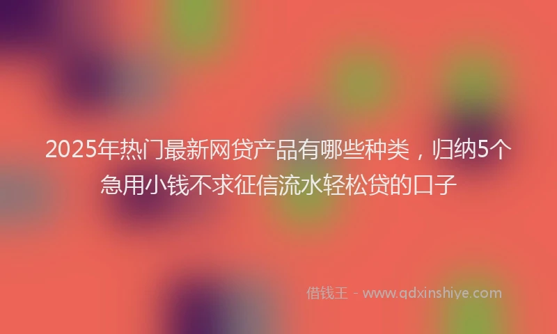 2025年热门最新网贷产品有哪些种类，归纳5个急用小钱不求征信流水轻松贷的口子