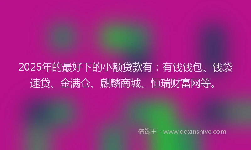 2025年的最好下的小额贷款有：有钱钱包、钱袋速贷、金满仓、麒麟商城、恒瑞财富网等。