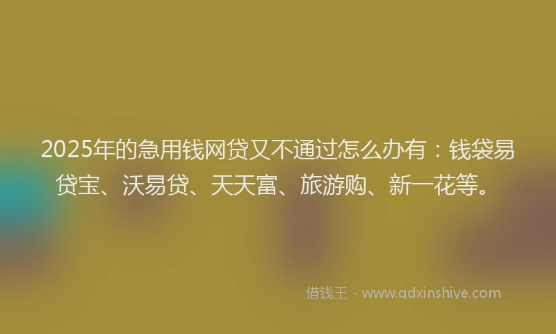 2025年的急用钱网贷又不通过怎么办有：钱袋易贷宝、沃易贷、天天富、旅游购、新一花等。