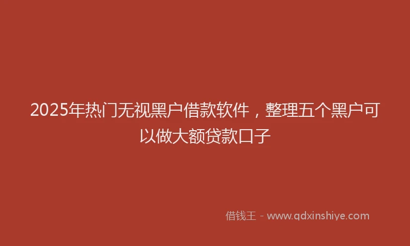 2025年热门无视黑户借款软件，整理五个黑户可以做大额贷款口子