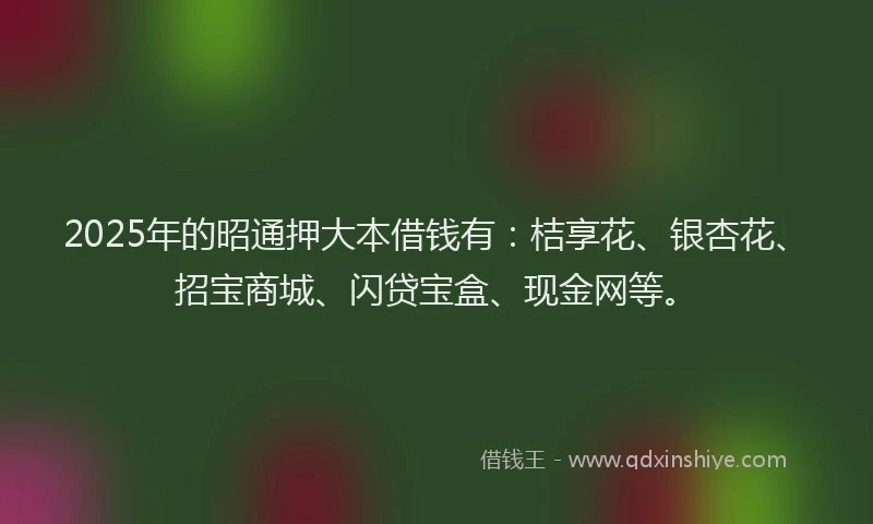 2025年的昭通押大本借钱有：桔享花、银杏花、招宝商城、闪贷宝盒、现金网等。